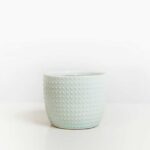 Bowl Azul Claro - CEB01