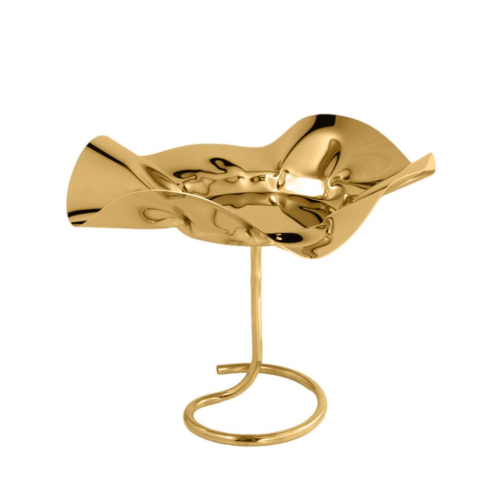 WhatsApp Image 2026-02-06 at 10.42.03